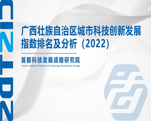 17c骚逼网站免费【成果发布】广西壮族自治区城市科技创新发展指数排名及分析（2022）